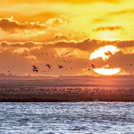 Traeumerei Mit Kamin Und Grosszuegigem Garten *