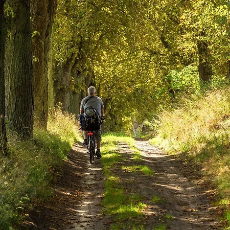 Traeumerei Mit Kamin Und Grosszuegigem Garten Semesterbostad Alt Schwerin